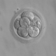 Image for article titled Baby Born From 20-Year-Old Frozen Embryo